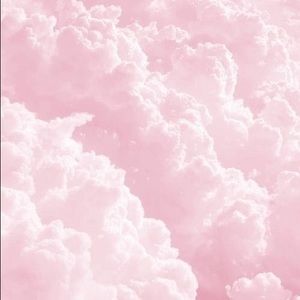 Meet your Posher, Lola